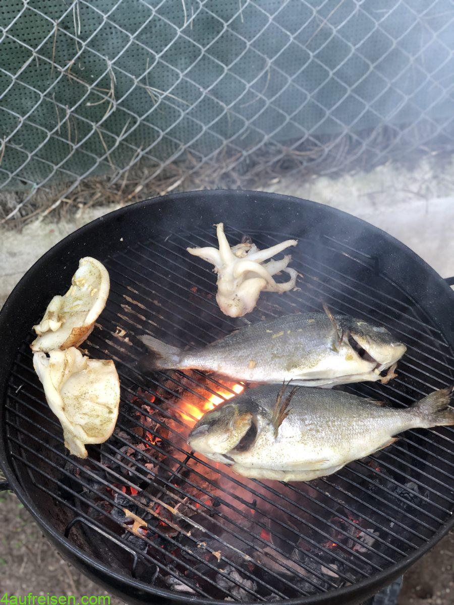 Grilled Fish.